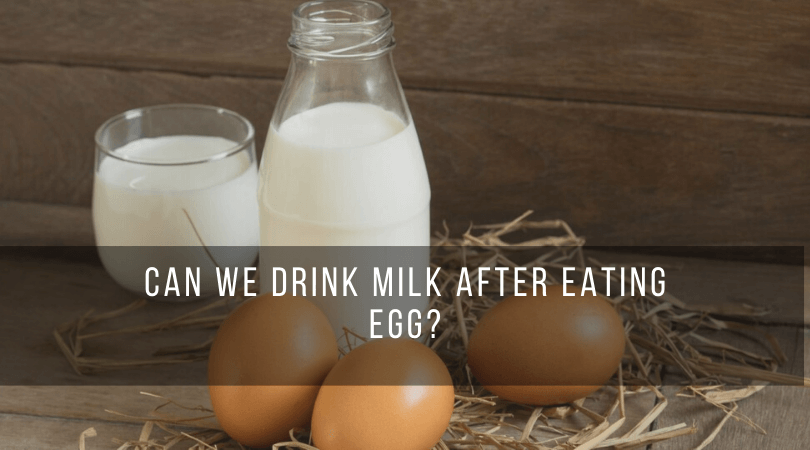 Can we Drink Milk After Eating Egg? You Should Clear Your Doubts